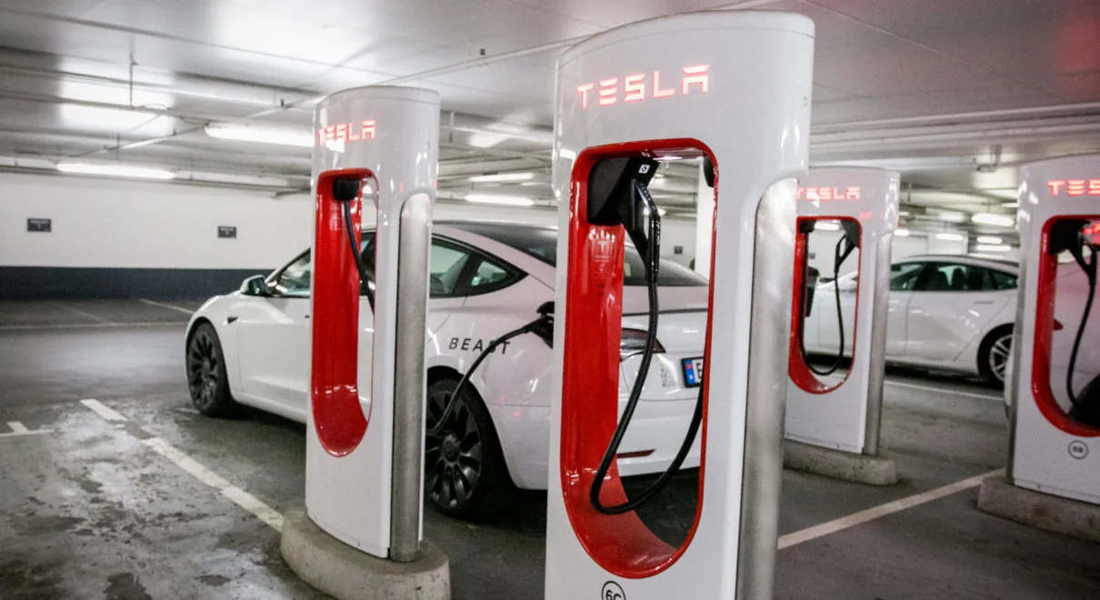 Rent a Tesla – Normal Wear and Tear
